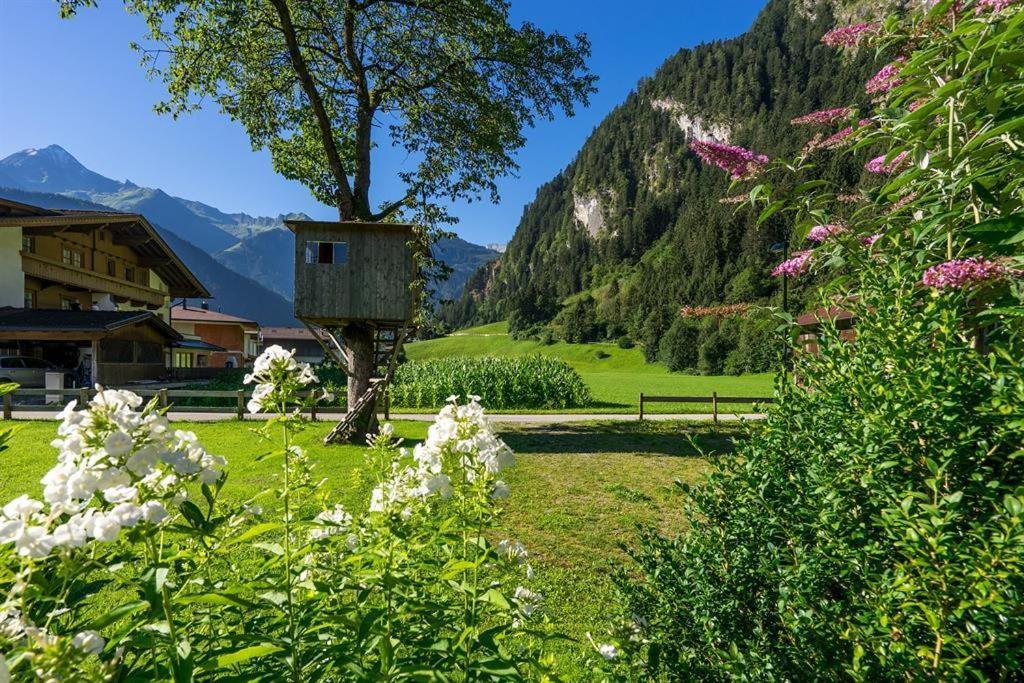 Landhaus Gredler ไมย์อาโฮเฟิน ภายนอก รูปภาพ